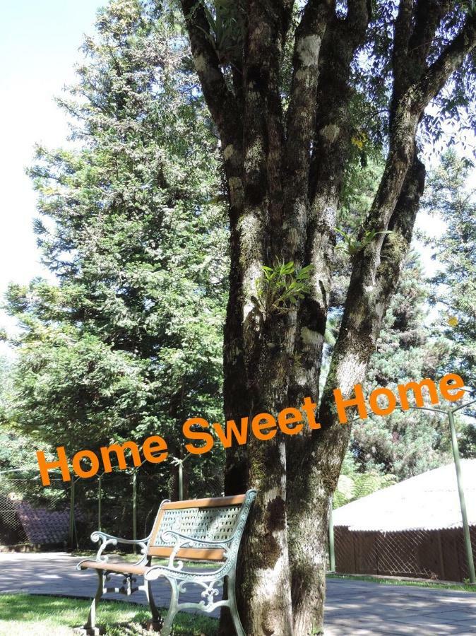 Apartment Flat Sweet